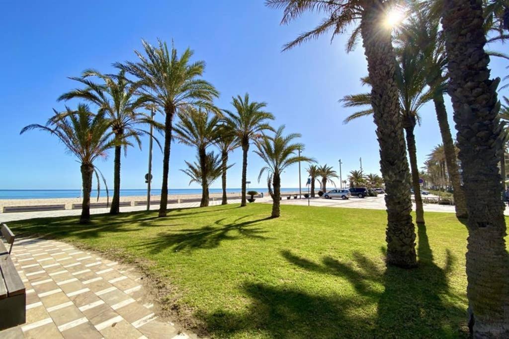 Nereo 7 Primera Linea De Playa San Juan Piscina, Parking Wifi Inmobiliaria Leo Alicante Buitenkant foto